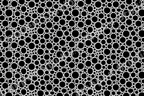 Modern abstract print with a seamless black and white geometric pattern of circular bubbles.