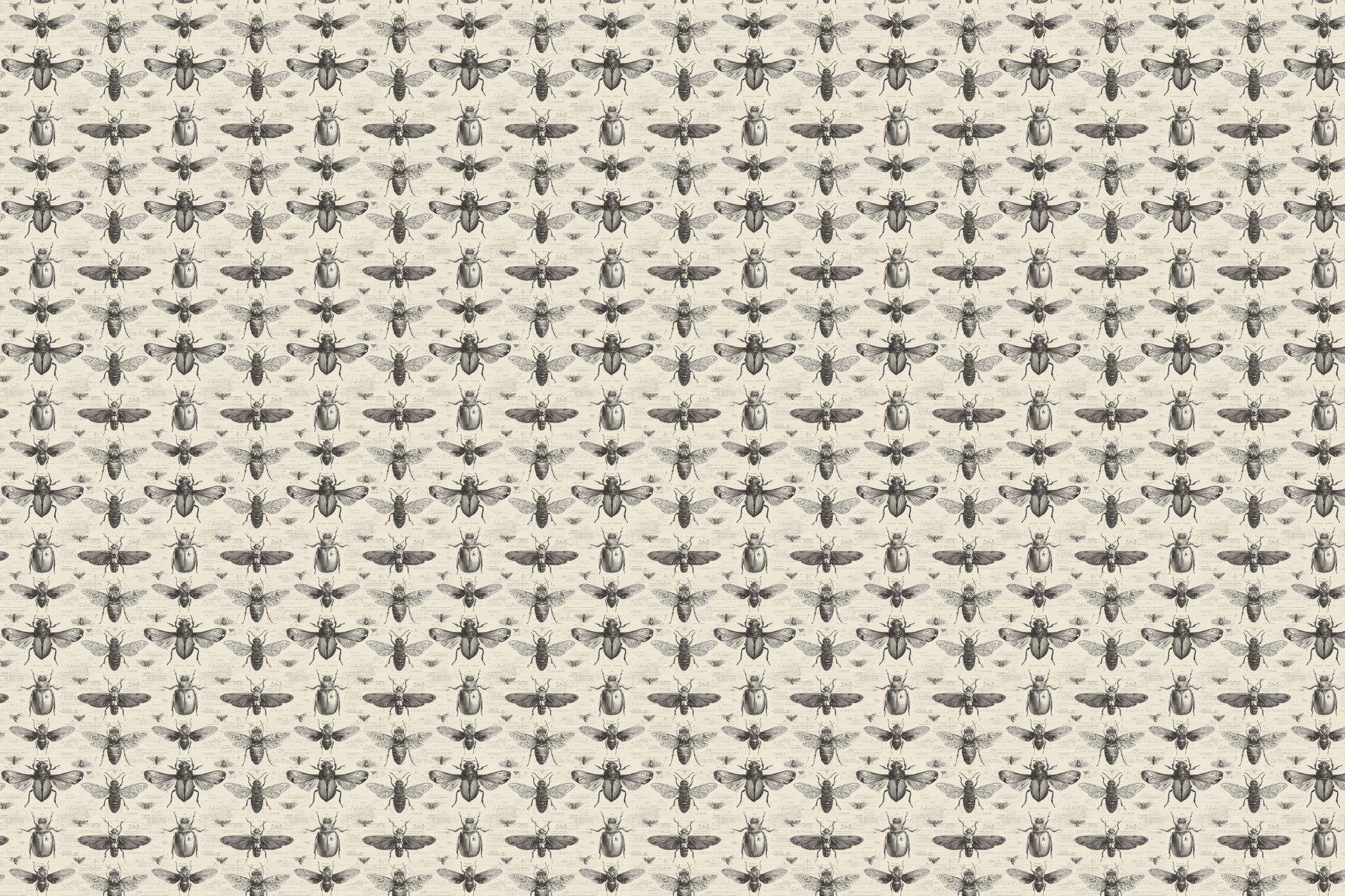 Taxonomy Textbook: Academic Gift Wrap