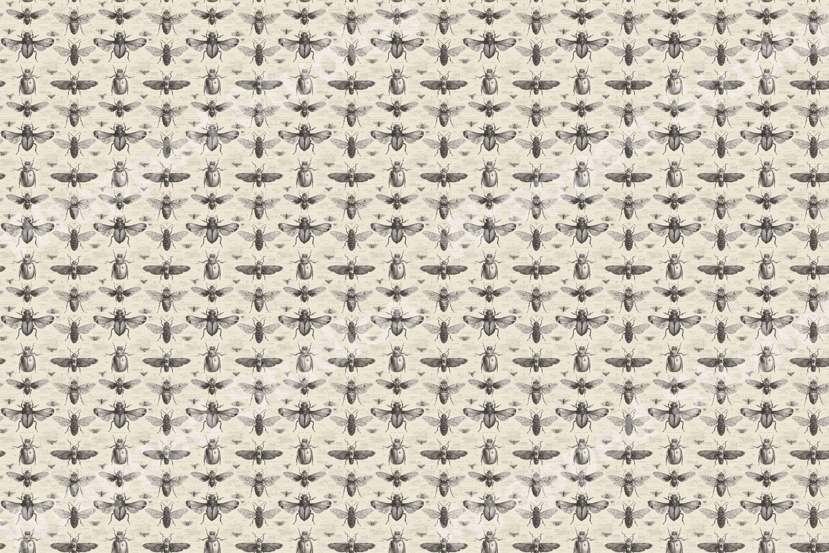 Sepia entomology pattern with vintage beetle and insect illustrations.