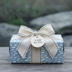 Stylish blue gift wrapped with an elegant ribbon and "A Gift For You" tag.