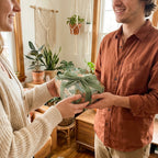 Couple exchanging gift in botanical wrapping paper with sage green velvet bow. Wrapped Studios.