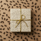 Gift box in tan wrapping paper with ant pattern and gold string detail.