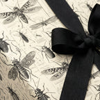 Beige gift box with vintage entomology wrapping paper and a black grosgrain ribbon bow.